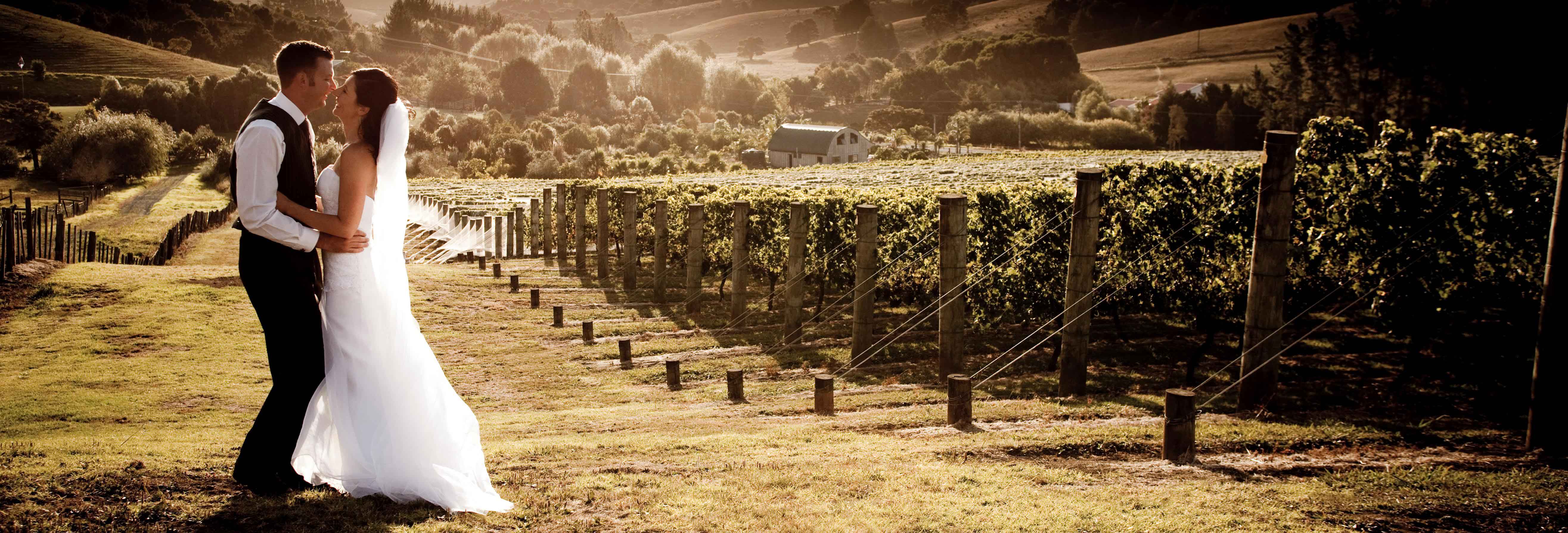 Bride-and-groom-at-top-of-Vineyard