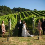 Bridal-party-among-vines
