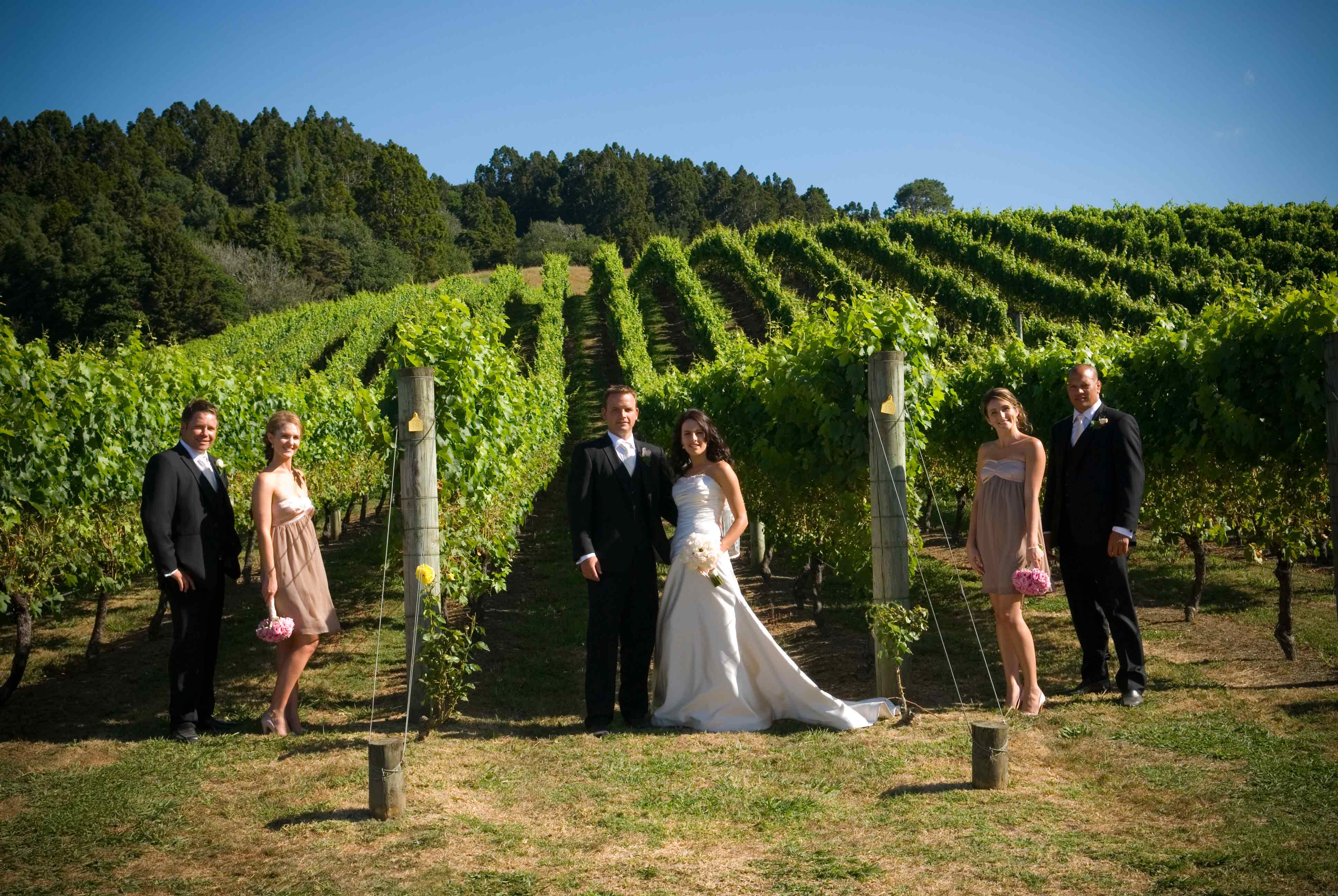 Bridal-party-among-vines