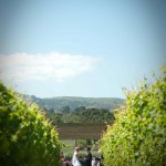 Ceremony-in-the-vines-long-distance