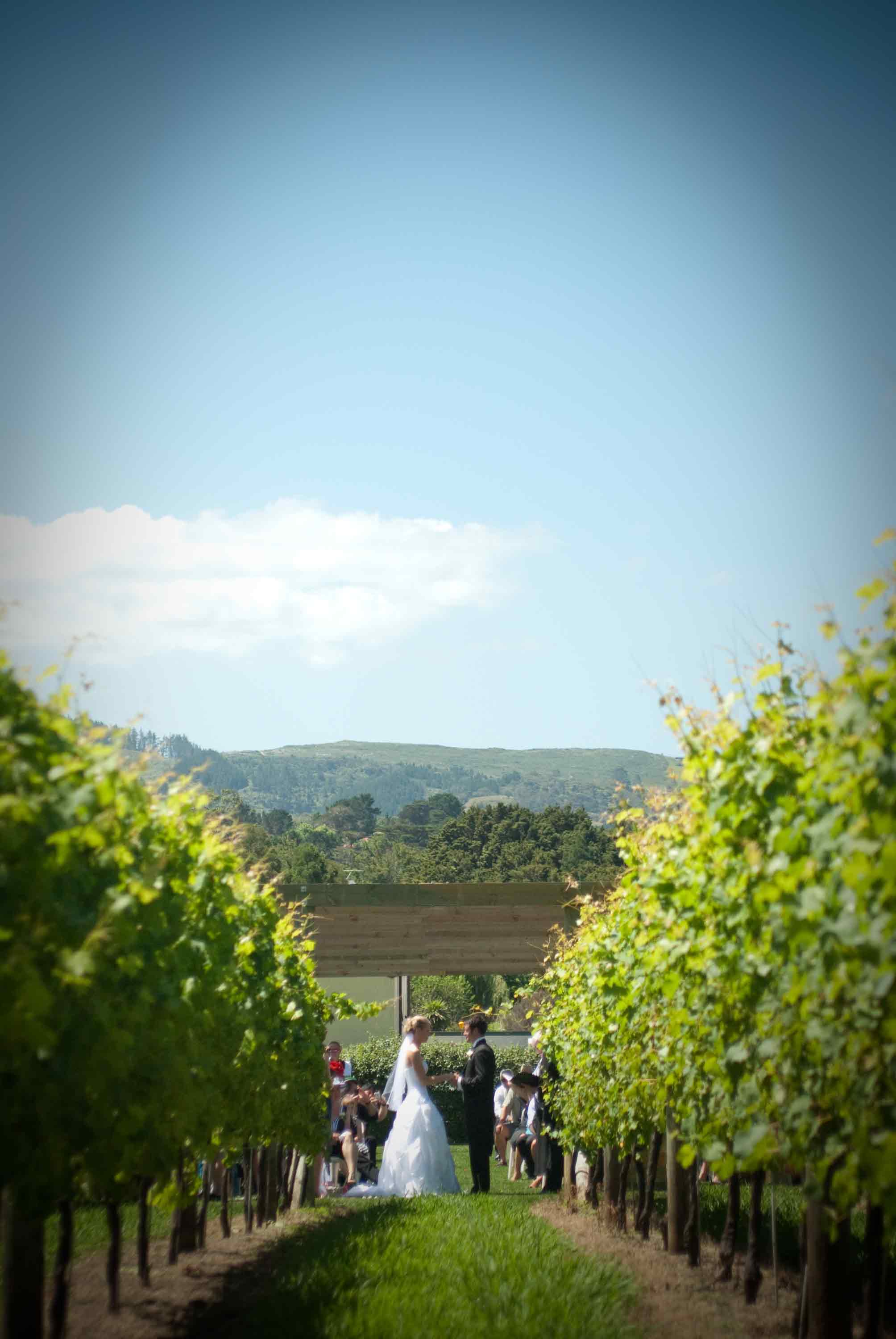 Ceremony-in-the-vines-long-distance