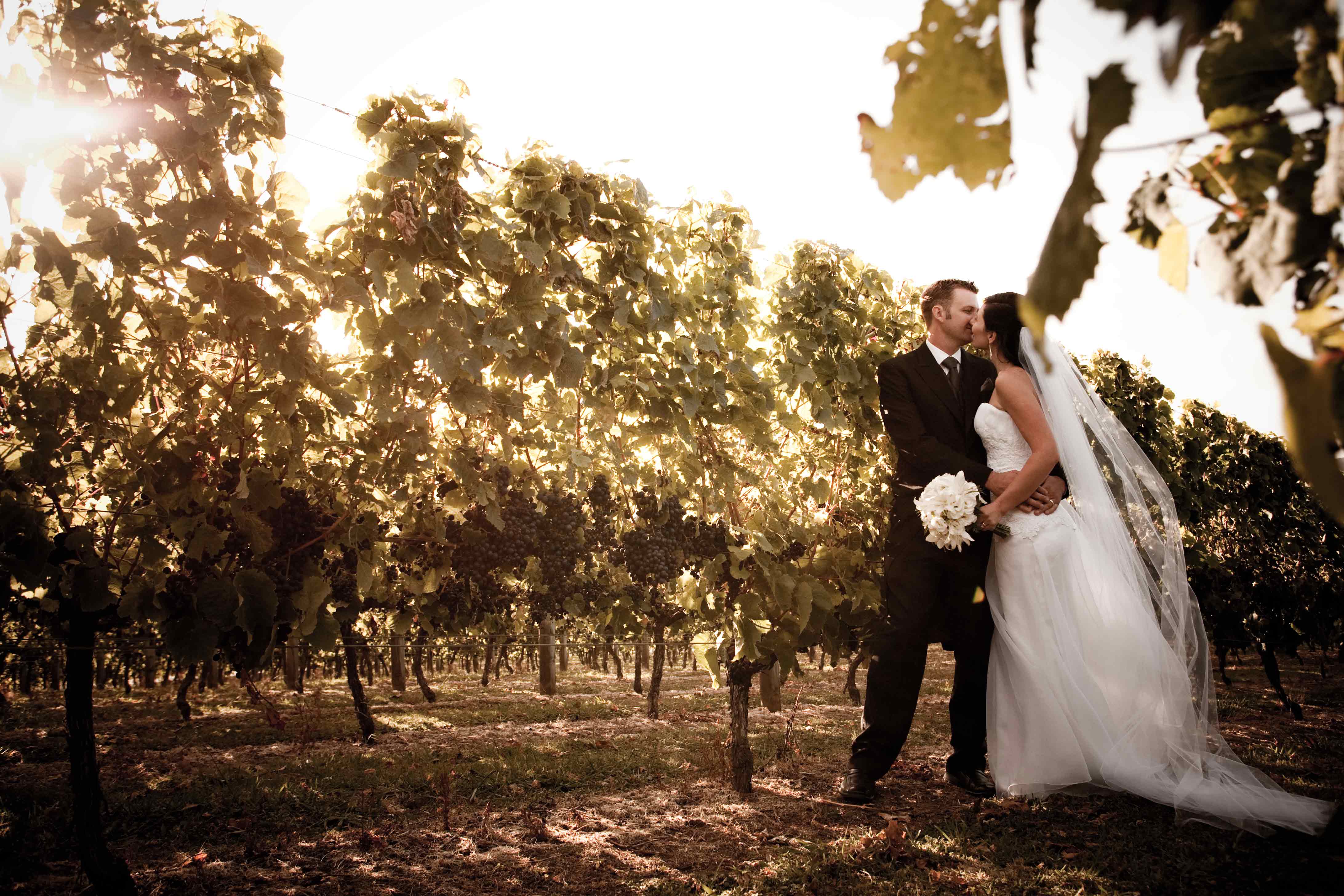 Couple-in-Vines-at-Dusk