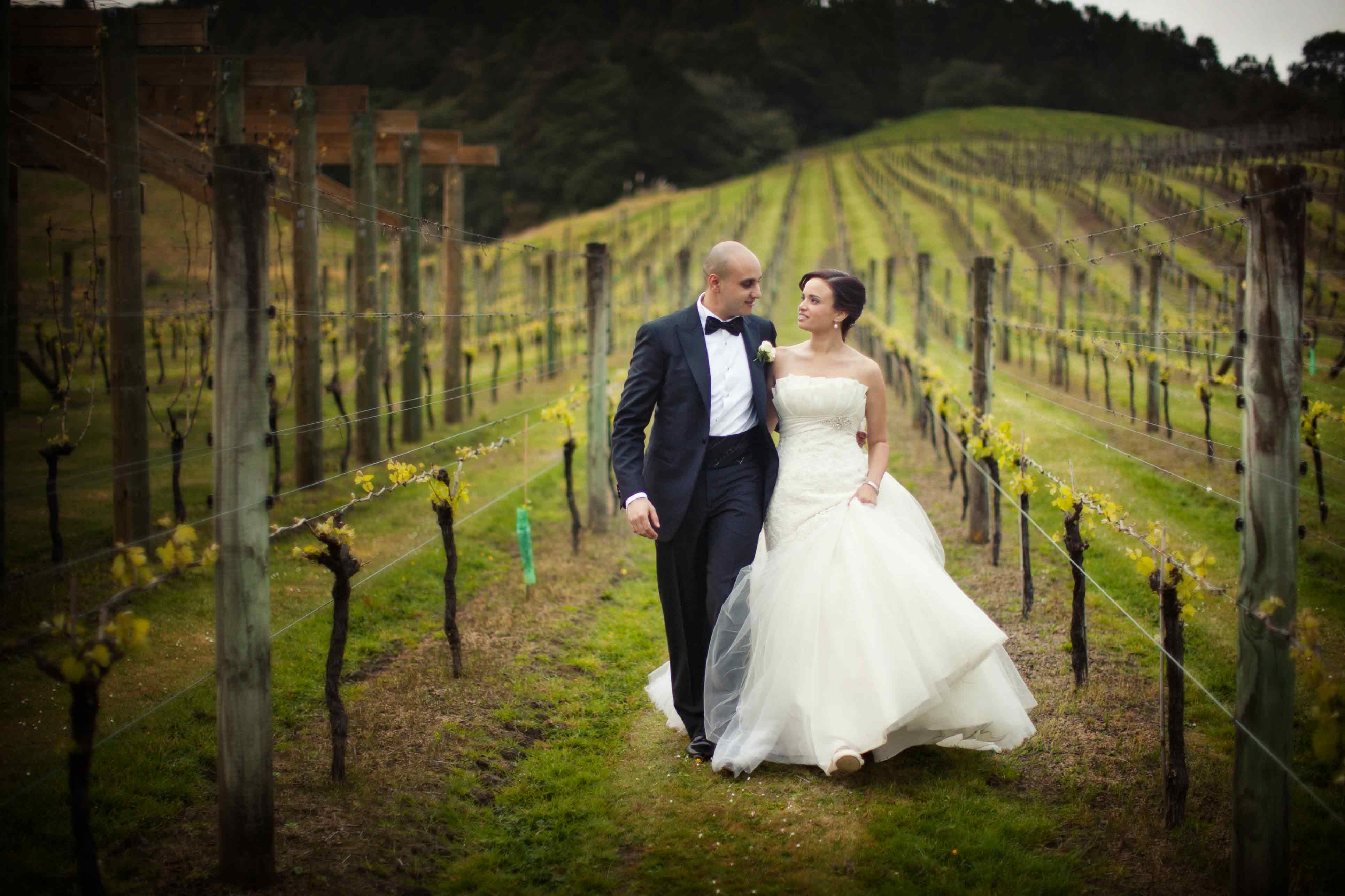 Couple-in-the-vines-early-spring