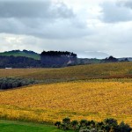 Estate-from-the-Hill-in-Autumn