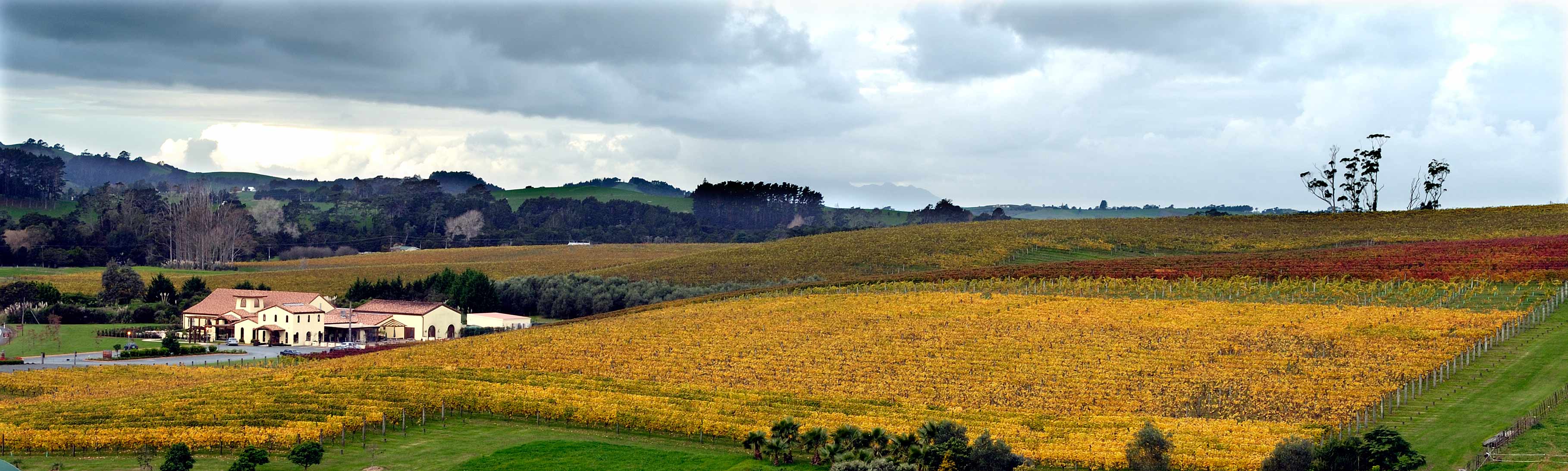 Estate-from-the-Hill-in-Autumn