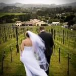 Wedding-couple-in-the-Vines-in-Winter