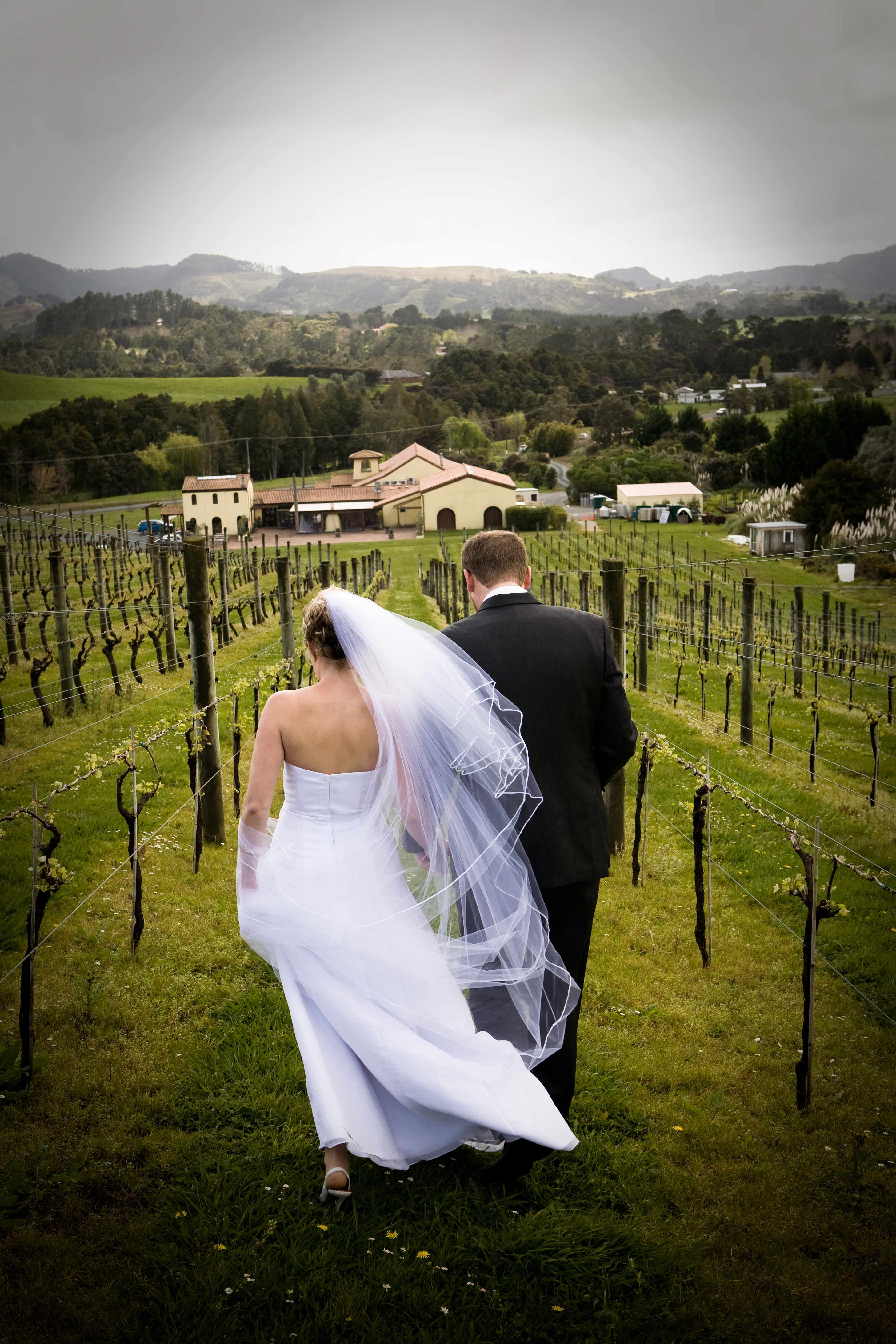 Wedding-couple-in-the-Vines-in-Winter