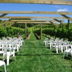 arbour-ceremony-setup