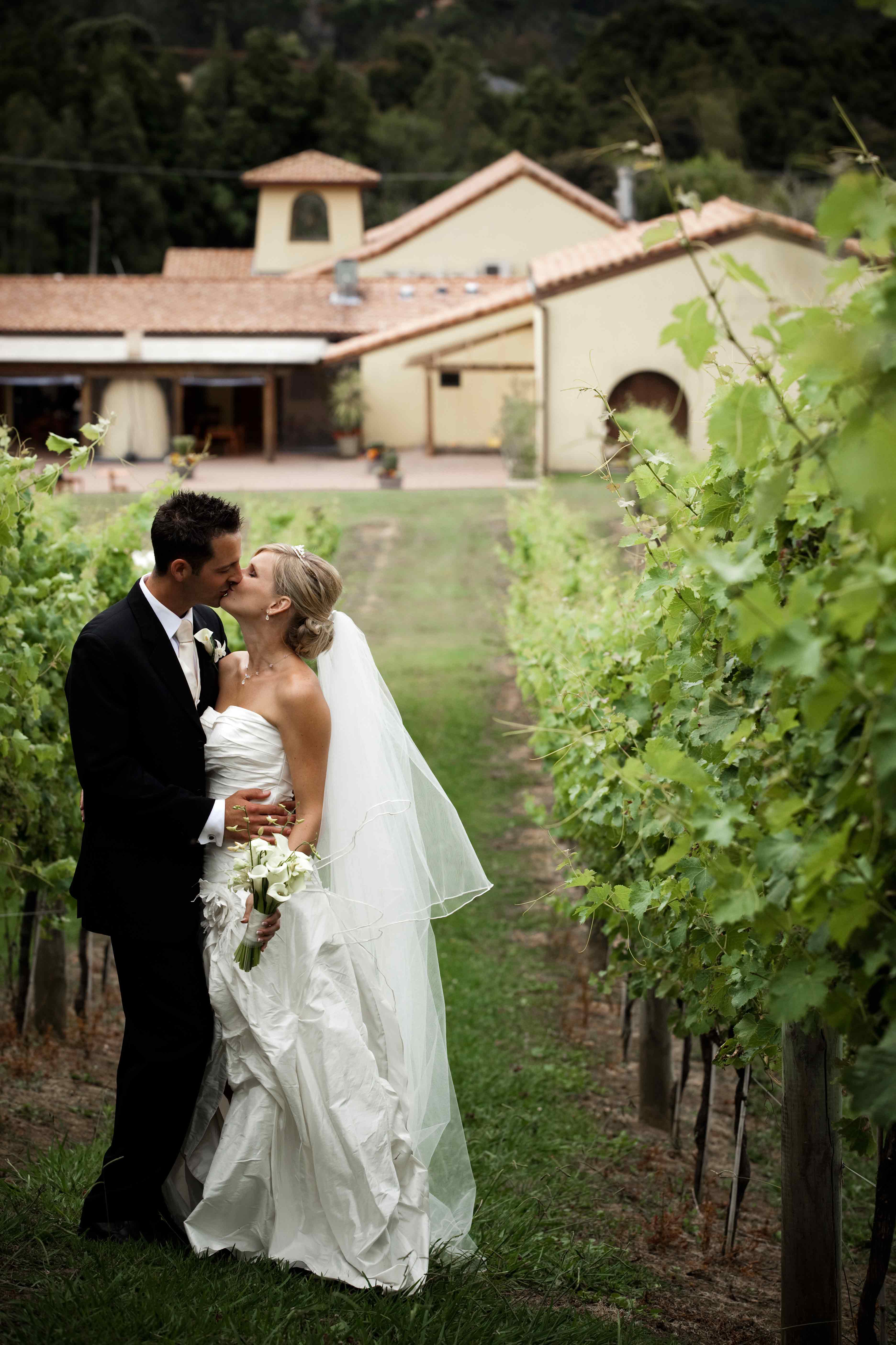 bride-and-groom-in-the-vines