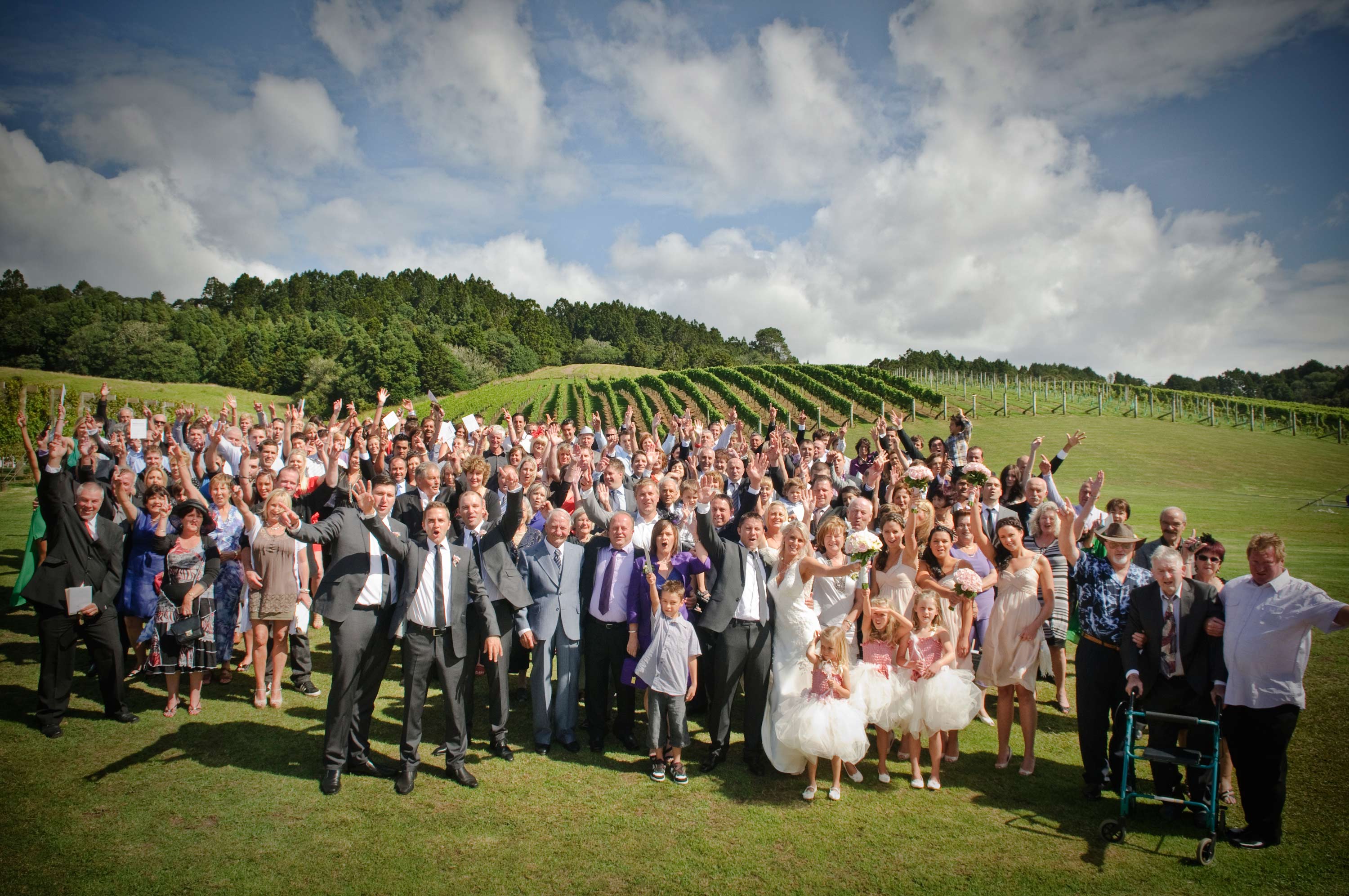 wedding-group-shot-in-the-vines