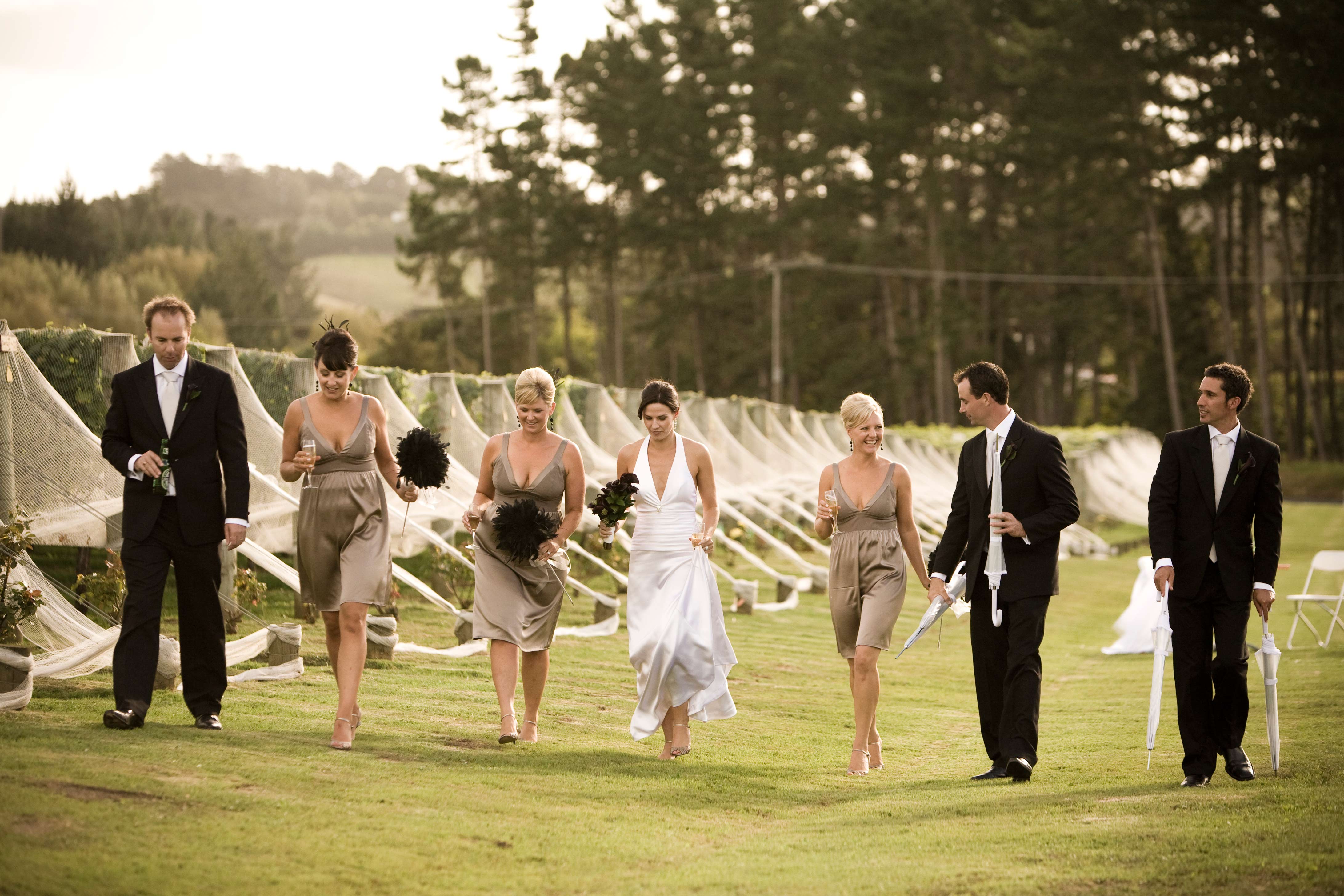 wedding-party-in-vines