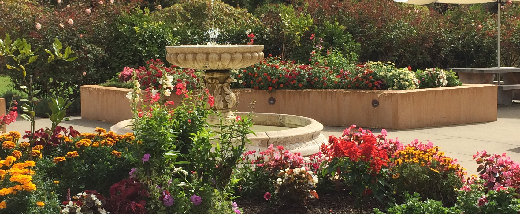 Fountain-and-Garden1