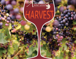 harvest-week-main
