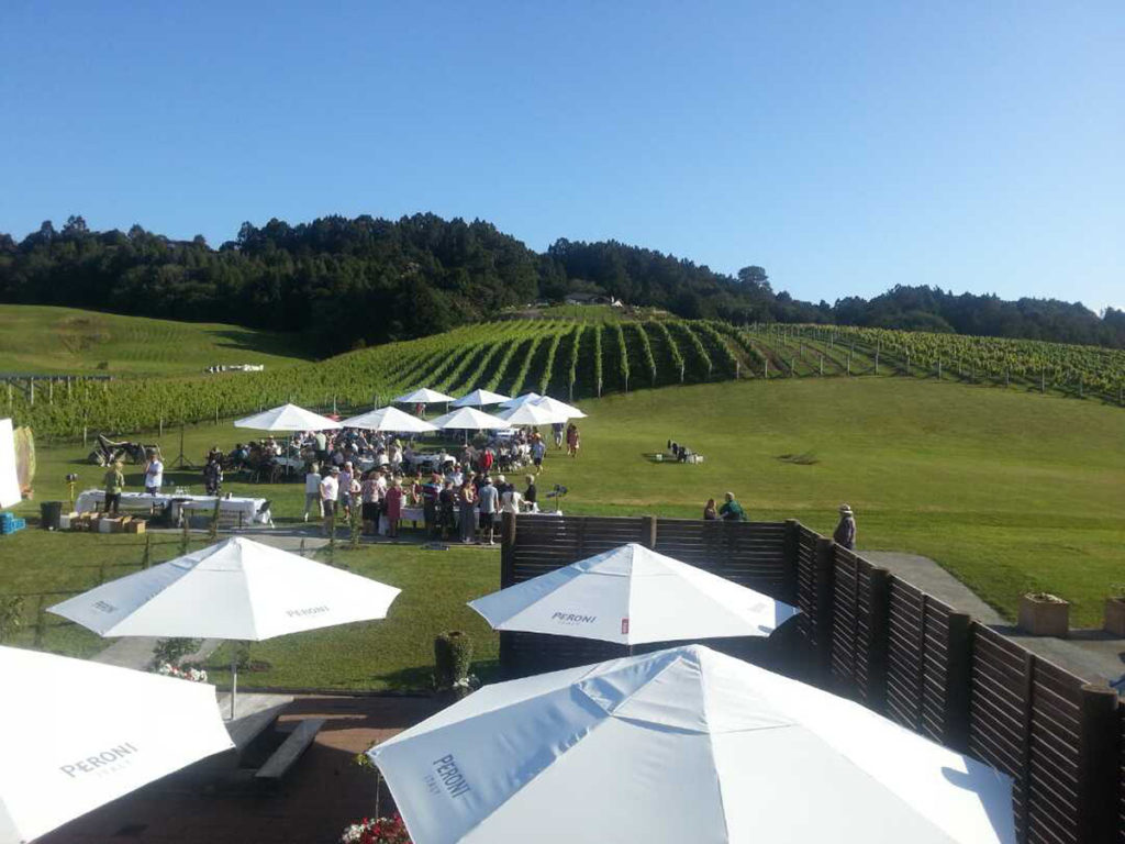 event-on-grass-in-front-of-vines